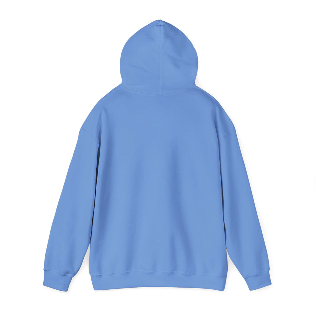 Snowed In Cast On Hoodie, Cozy Knitting Cat Hooded Sweatshirt, Winter Knitter Gift, Yarn Lover Hoodie