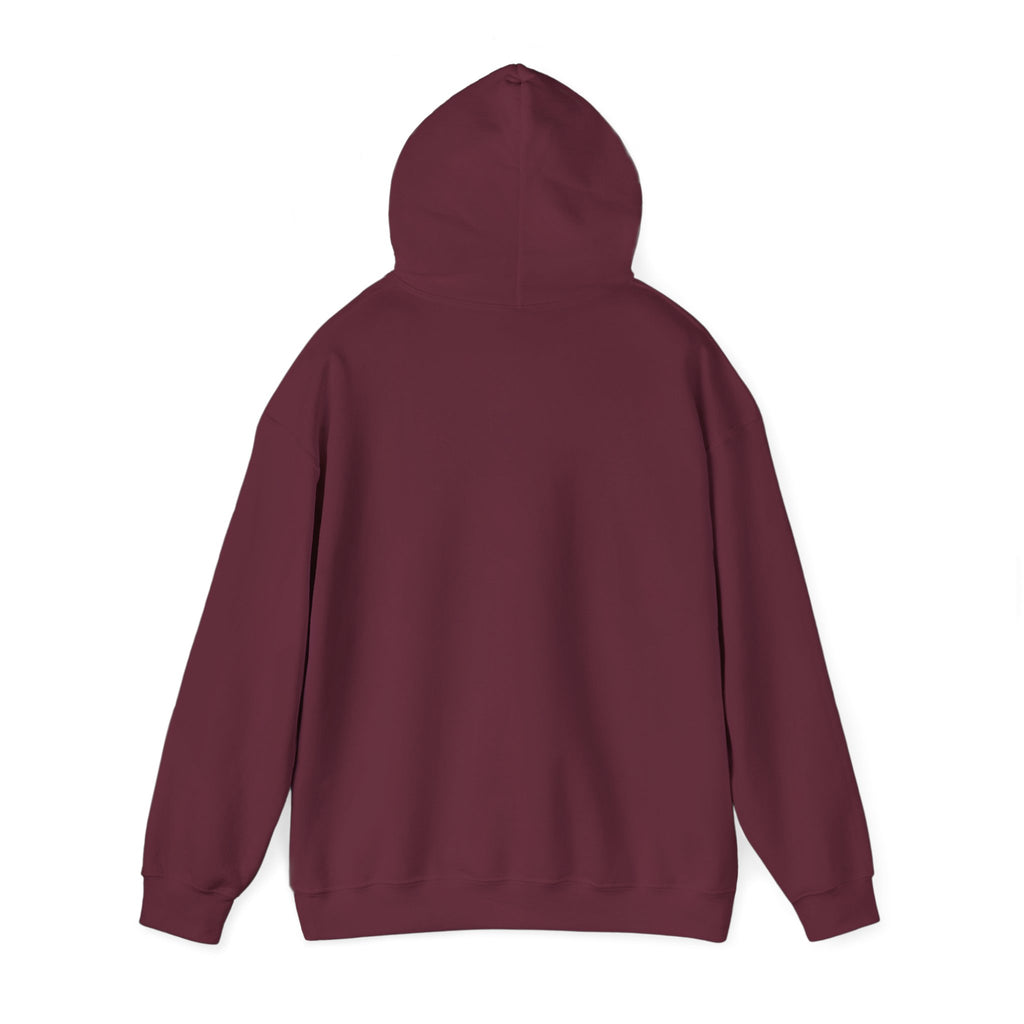 FUCK IRAN Hoodie